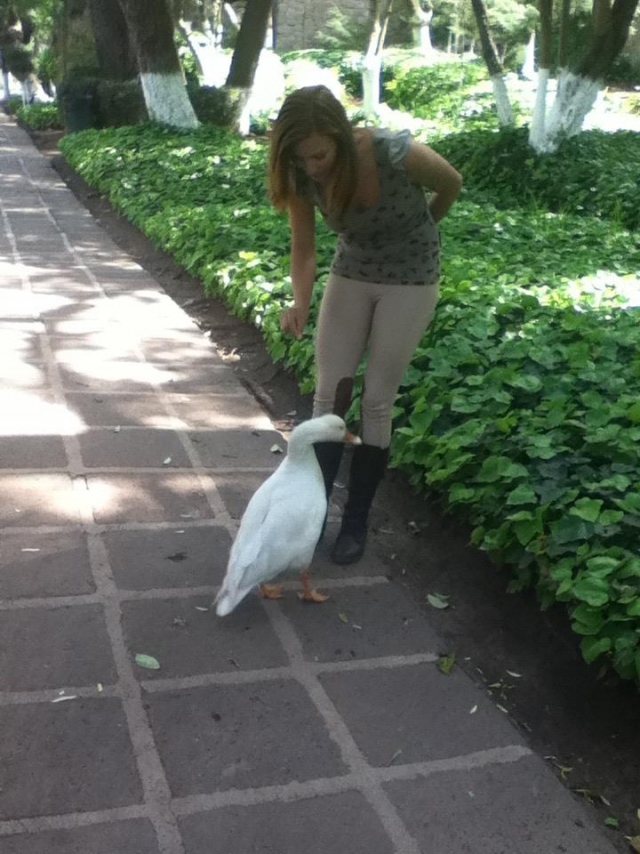 Paseos en la hacienda